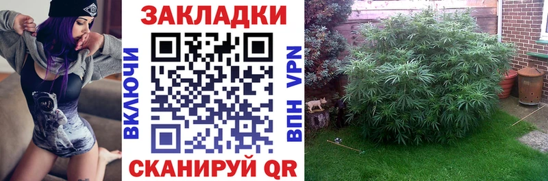 Купить наркотики сайты Андреаполь МАРИХУАНА МЕТАМФЕТАМИН Мефедрон Cocaine