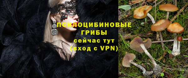 ПСИЛОЦИБИНОВЫЕ ГРИБЫ Алзамай