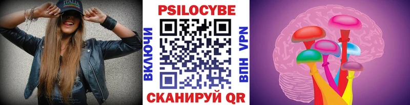 где купить наркоту  Андреаполь  Псилоцибиновые грибы мицелий 